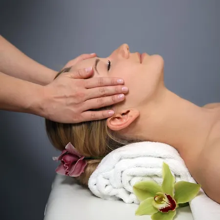 索波特索菲特大酒店 5*